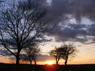 2008_03290089.jpg