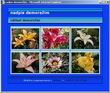Screenshot - Voln ablony do XnView pro freefoto