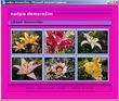 Screenshot - Voln ablony do XnView pro freefoto